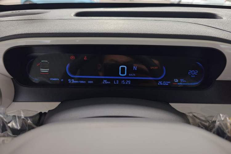 Used  Panda 2025 210 km – Yuanqi Bear