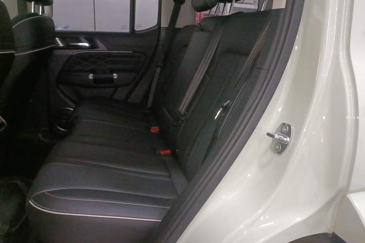 Used Tank 300 2024 2.0T Crosser
