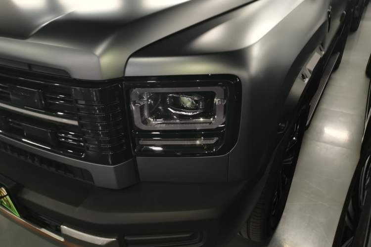 Used Haval Raptor New Energy 