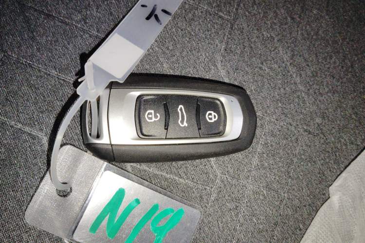 Used  Panda 2024 Panda Mini 200km Endurance Bear
