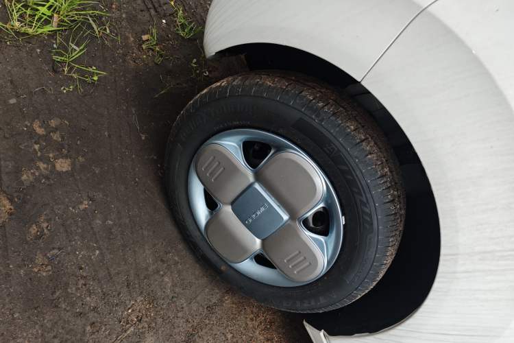 Used  Panda 2024 Panda Mini 200km Endurance Bear