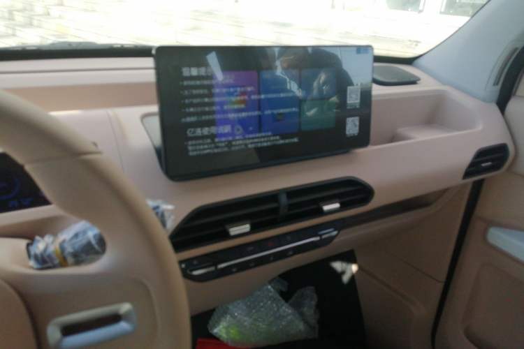 Used  Panda 2024 Panda Mini 200km Endurance Bear