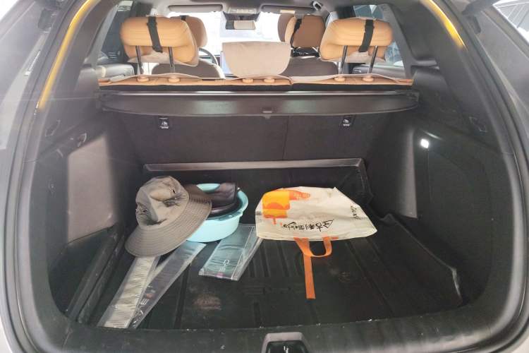 Used BYD Song L DM-i 2024 160 km Excellence Version