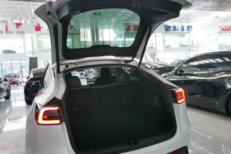 Used Tesla Model Y 2021 Standard Range Rear-Wheel Drive Version
