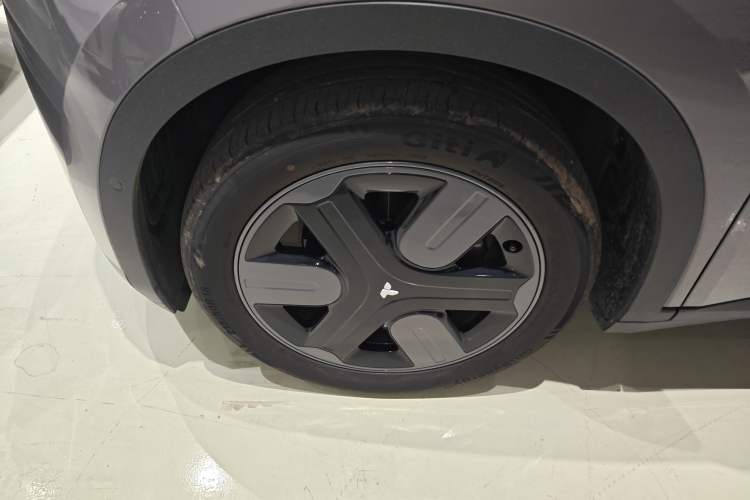 Used firefly firefly 2025 Illuminated Edition
