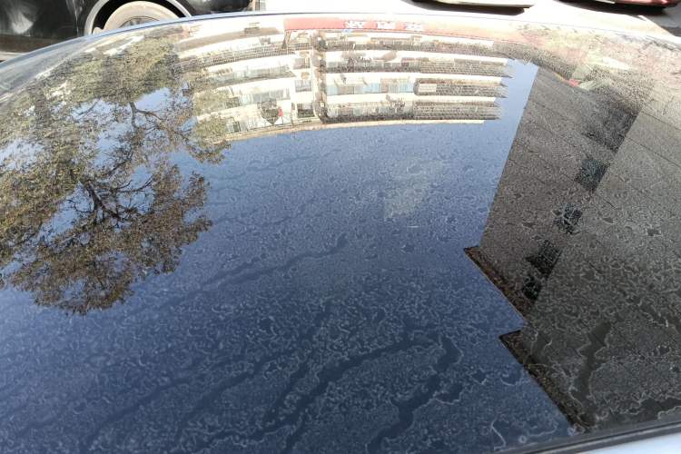 Used BYD Dolphin 2021 405 km Fashion Edition