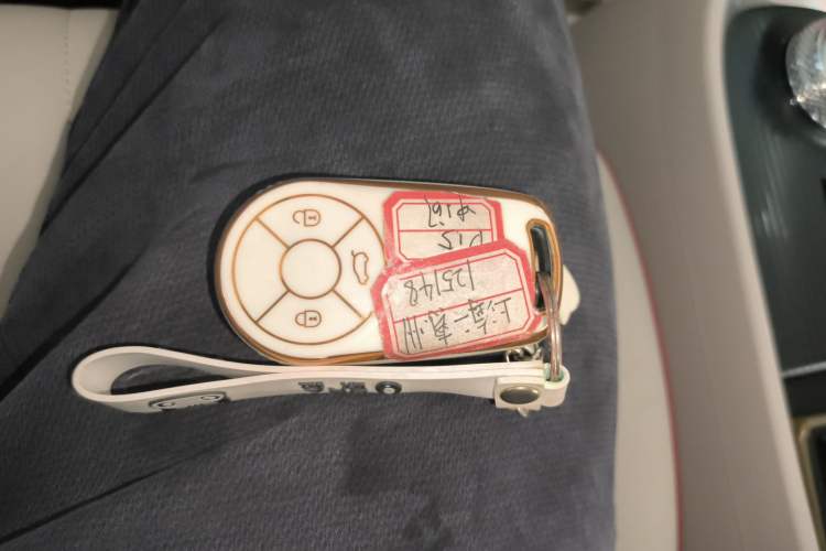 Used ORA Good Cat 2022 400km Standard Range Luxury Version Lithium Iron Phosphate