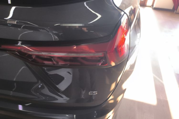 Used  E5 2024 Honor Edition 100KM Premium Model 7 Seats
