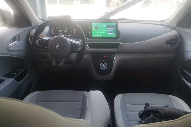 Used ORA White Cat 2020 305 km Luxury Version