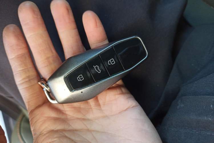 Used  03 2024 472km Four-wheel Drive Long-Range Yuechao Edition