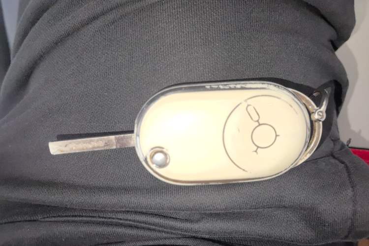 Used Bestune Pony 2025 222km Range Agile Horse
