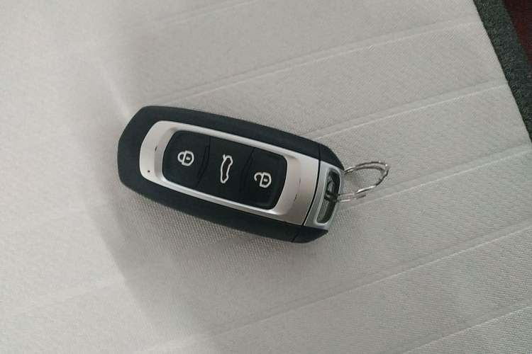 Used  Panda 2025 210 km – Yuanqi Bear