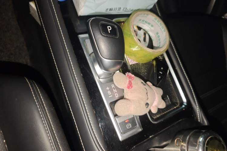 Used Venucia Star 2020 260T Automatic XingShang Edition