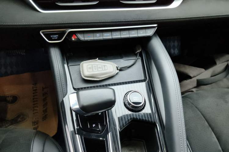 Used Geely Auto Monjaro L 2024 2.0TD High-Power Automatic Two-Wheel Drive Skyline Edition
