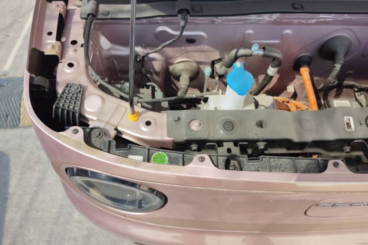 Used  Panda 2024 Panda Mini 200km Endurance Bear
