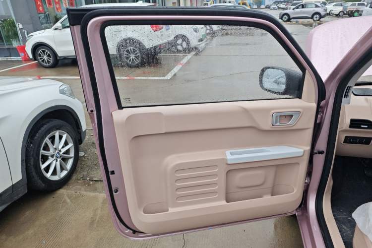 Used  Panda 2024 Panda Mini 200km Endurance Bear
