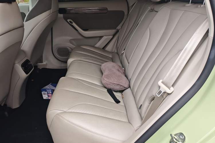 Used Leapmotor C11 2021 Performance Edition
