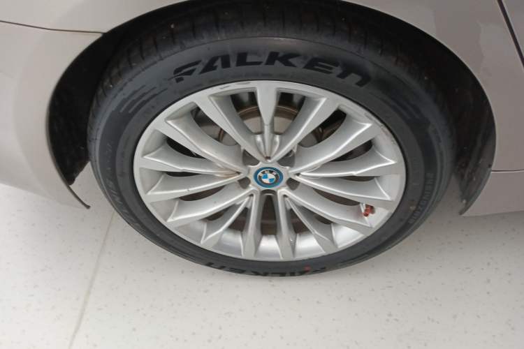 Used BMW 5 Series New Energy 2019 530Le Luxury Package