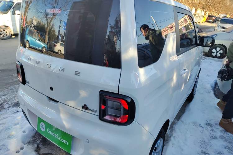 Used  Panda 2025 210 km – Yuanqi Bear
