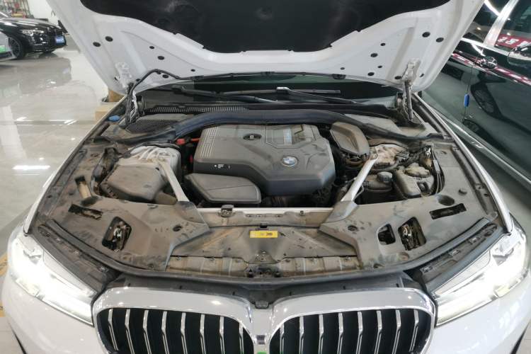 Used BMW 5 Series New Energy 2021 535Le Luxury Package
