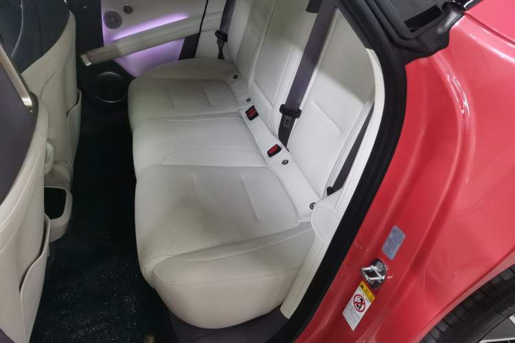 Used  06 2025 Ultra Pure Electric Edition
