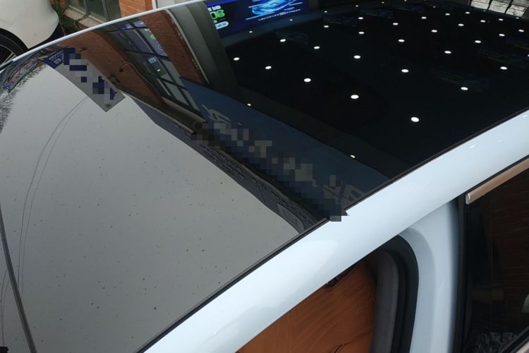 Used VOYAH PASSION 2023 Four-Wheel Drive Long-Range Version