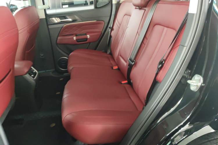 Used Tank 300 2024 2.0T Conqueror
