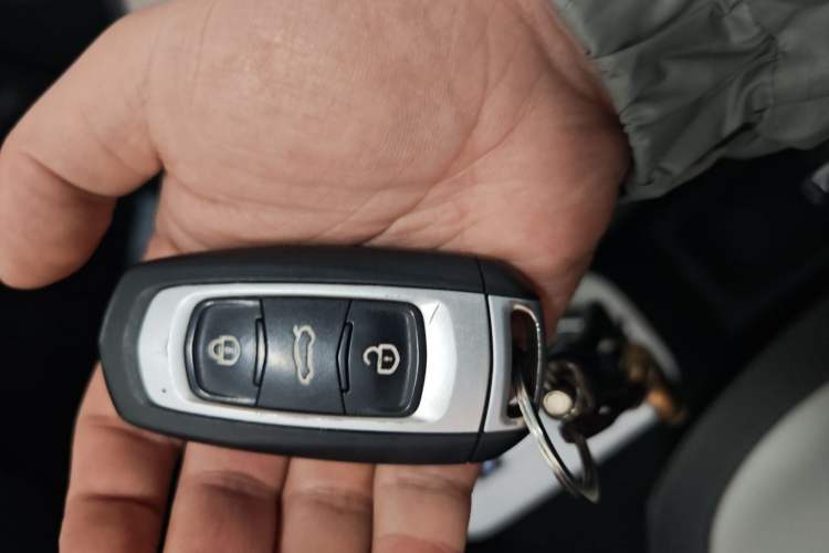 Used  Panda 2024 200km Panda Rider
