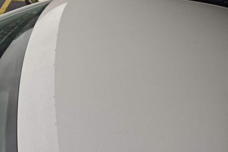 Used Volkswagen Polo 2016 1.4L Automatic Trendy Model
