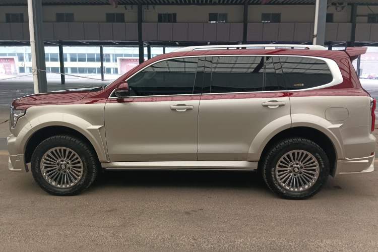 Used Tank 500 2023 3.0T Business Edition "Creation" Style 5 Seats
