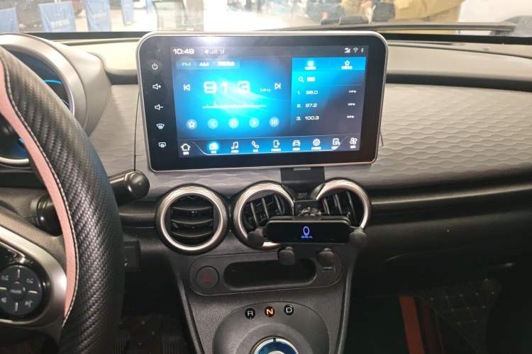 Used ORA Black Cat 2022 Updated Version 301 km Cute Pet Edition Lithium Iron Phosphate