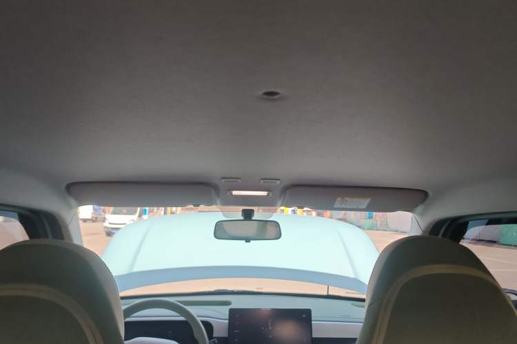 Used  Panda 2025 210 km – Yuanqi Bear
