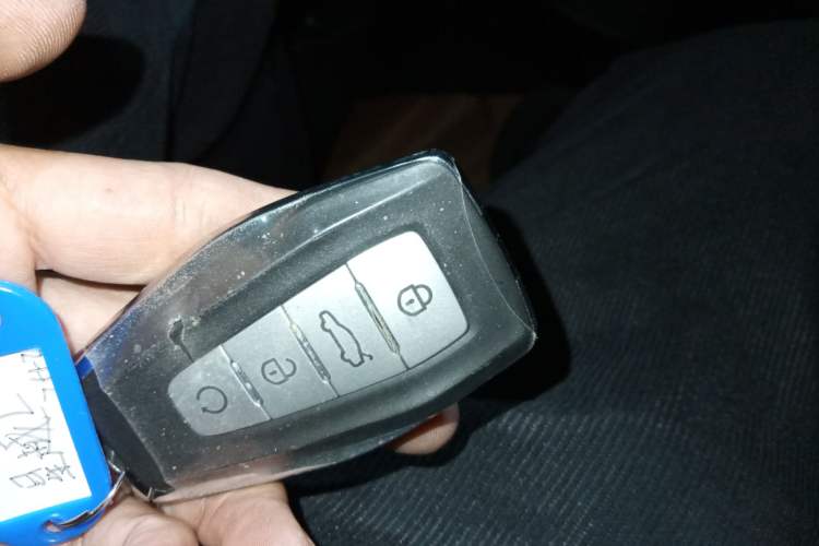 Used Geely Auto Monjaro L 2024 2.0TD DCT EVO Two-Wheel Drive Long-Range Version
