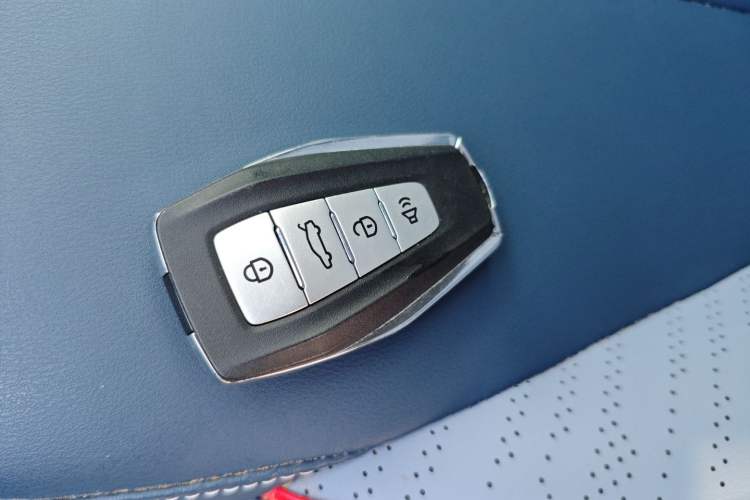 Used Geometry E Firefly 2022 401 km Linglong Tiger 4 Seats