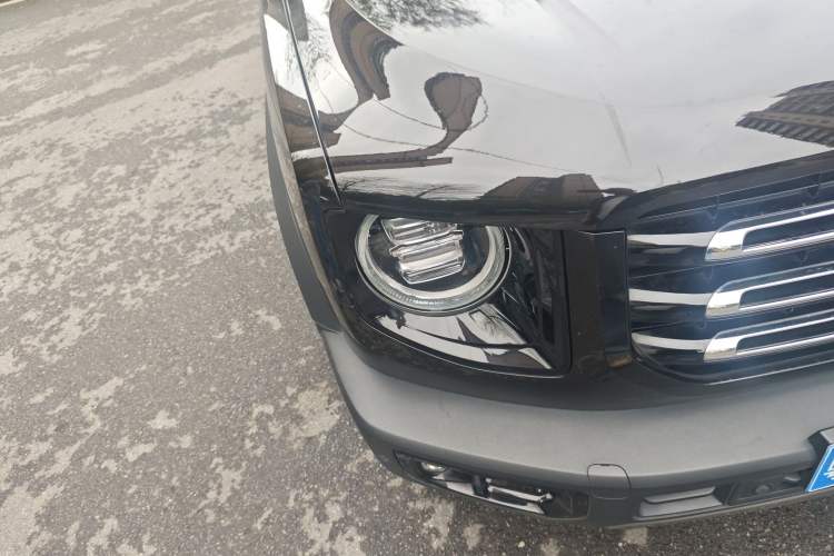 Used Haval DARGO 2021 2.0T DCT 4x4 Chinese Rural Dog Edition
