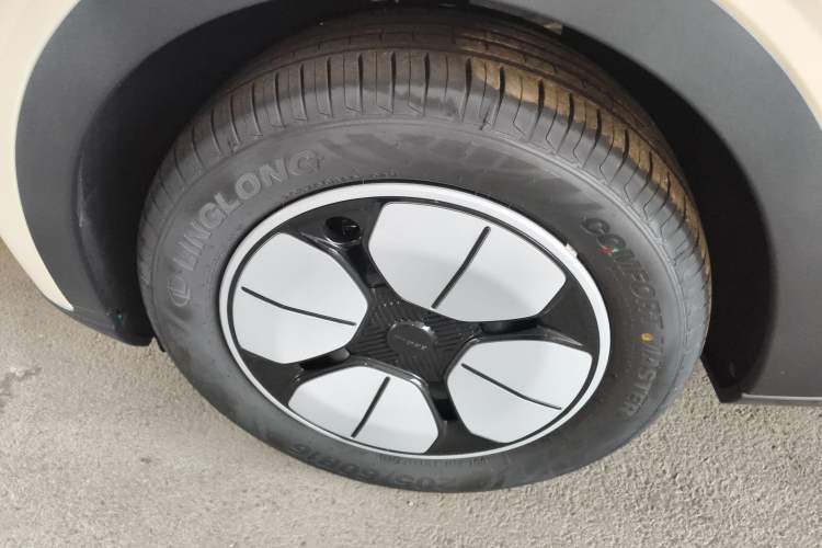 Used  Geome 2025 310km Youth Edition
