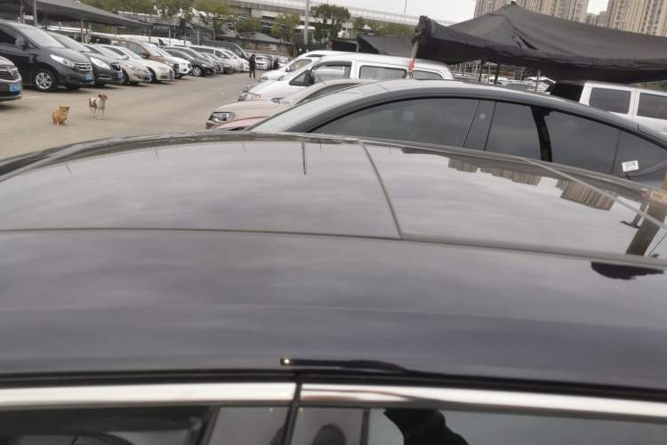 Used Volkswagen Passat 2023 Revised 330TSI Elite Edition
