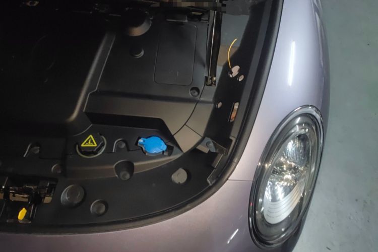 Used ORA Lightning Cat 2022 555 km Luxury Edition