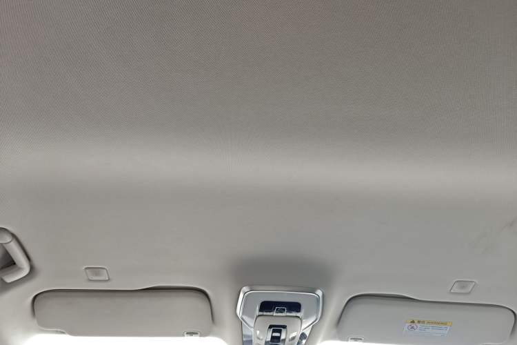 Used Hongqi HQ9 PHEV 2024 2.0T Four-Wheel Drive Business Edition