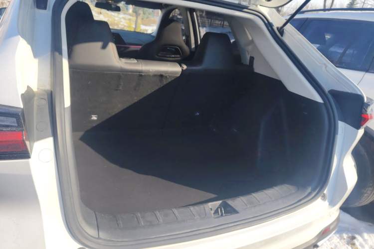 Used Oshan X5 2021 1.5T DCT Luxury Edition
