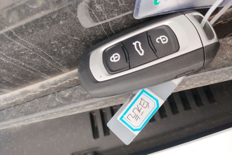 Used  Panda 2025 210 km – Yuanqi Bear
