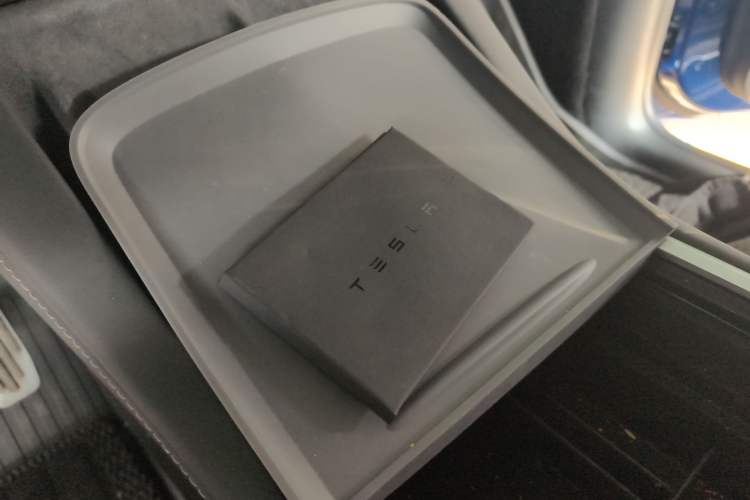 Used Tesla Model Y 2021 Standard Range Rear-Wheel Drive Version
