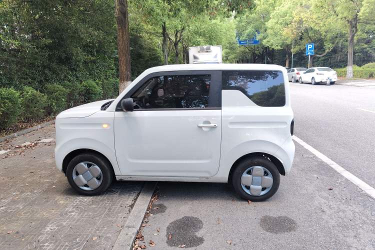 Used  Panda 2024 Panda Mini 200km Endurance Bear
