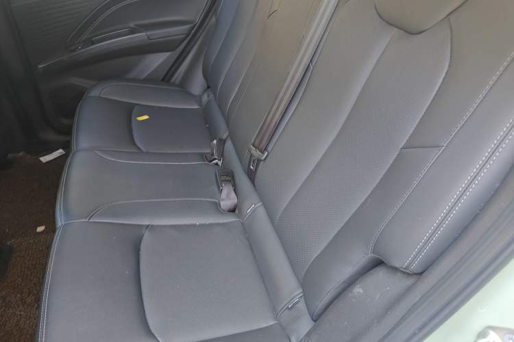 Used NETA V 2021 Long-Range Entertainment Edition Upgrade Model
