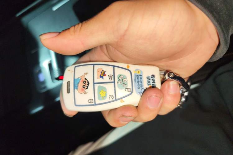 Used BAIC Off-Road BJ30 2024 1.5T Light Wilderness Pro Edition
