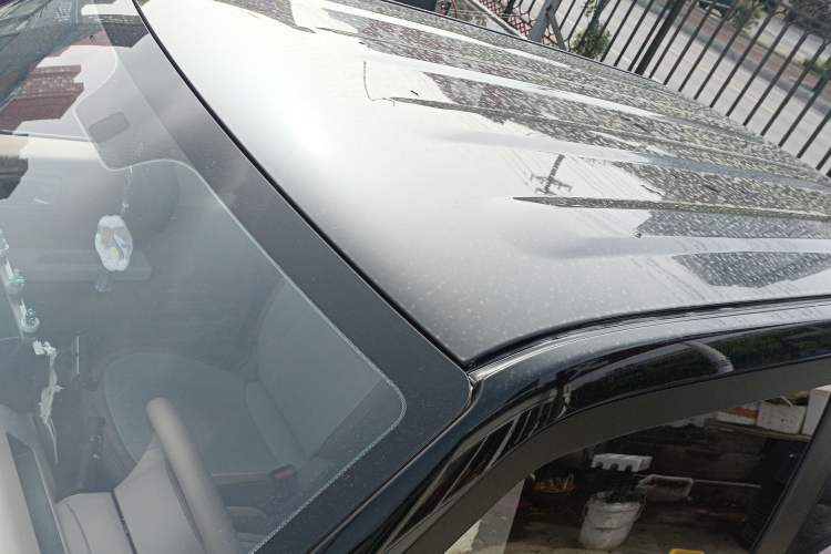 Used  Panda 2023 Panda Mini 200km Endurance Bear
