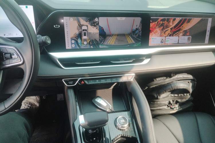 Used Geely Auto Monjaro L 2024 2.0TD DCT EVO Two-Wheel Drive Long-Range Version