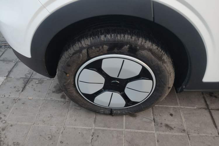 Used  Geome 2025 310km Youth Edition