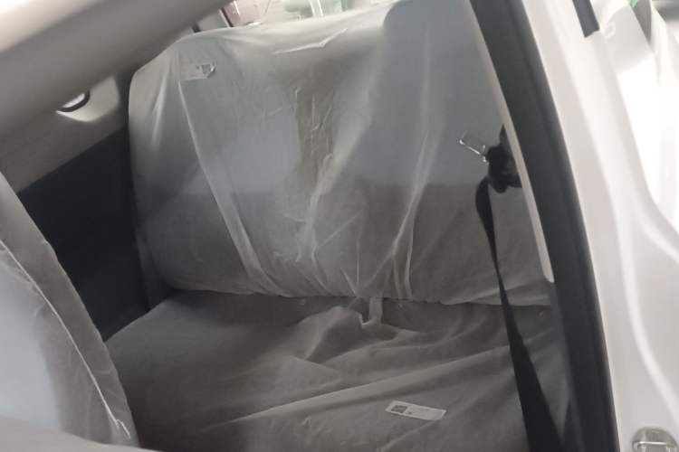 Used  Panda 2024 Panda Mini 200km Endurance Bear
