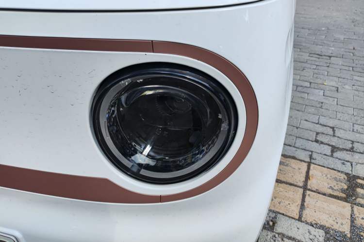 Used  Panda 2024 Panda Mini 200km Endurance Bear
